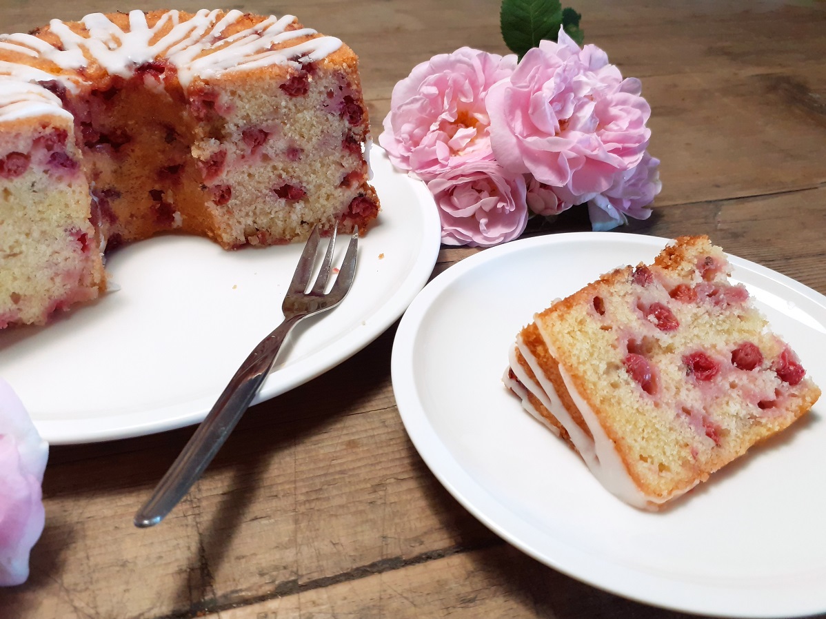 Johannisbeer-Zitronenkuchen